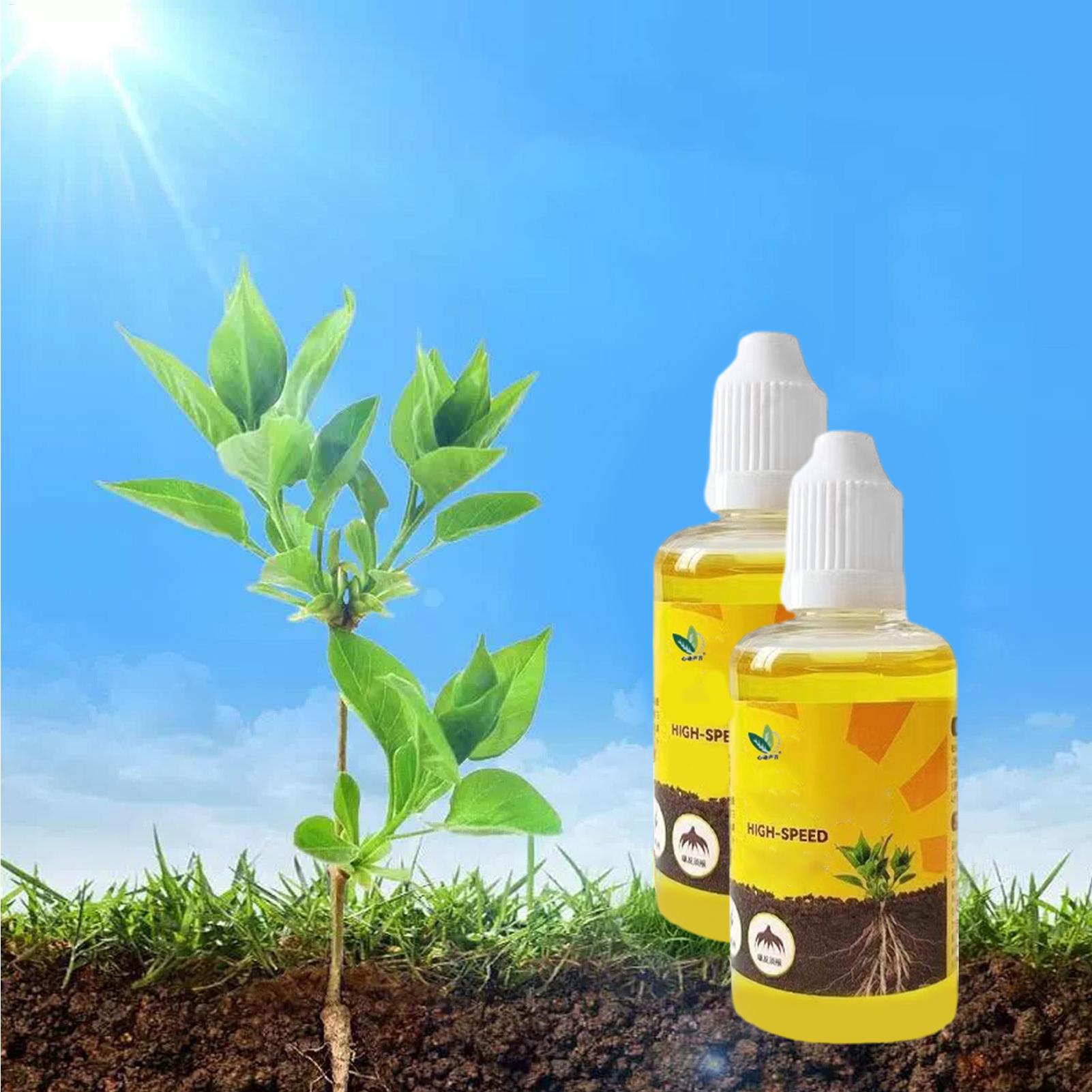 Root Stimulator Liquid - 50ml Cairan Penguat Akar Tanaman Nutrisi