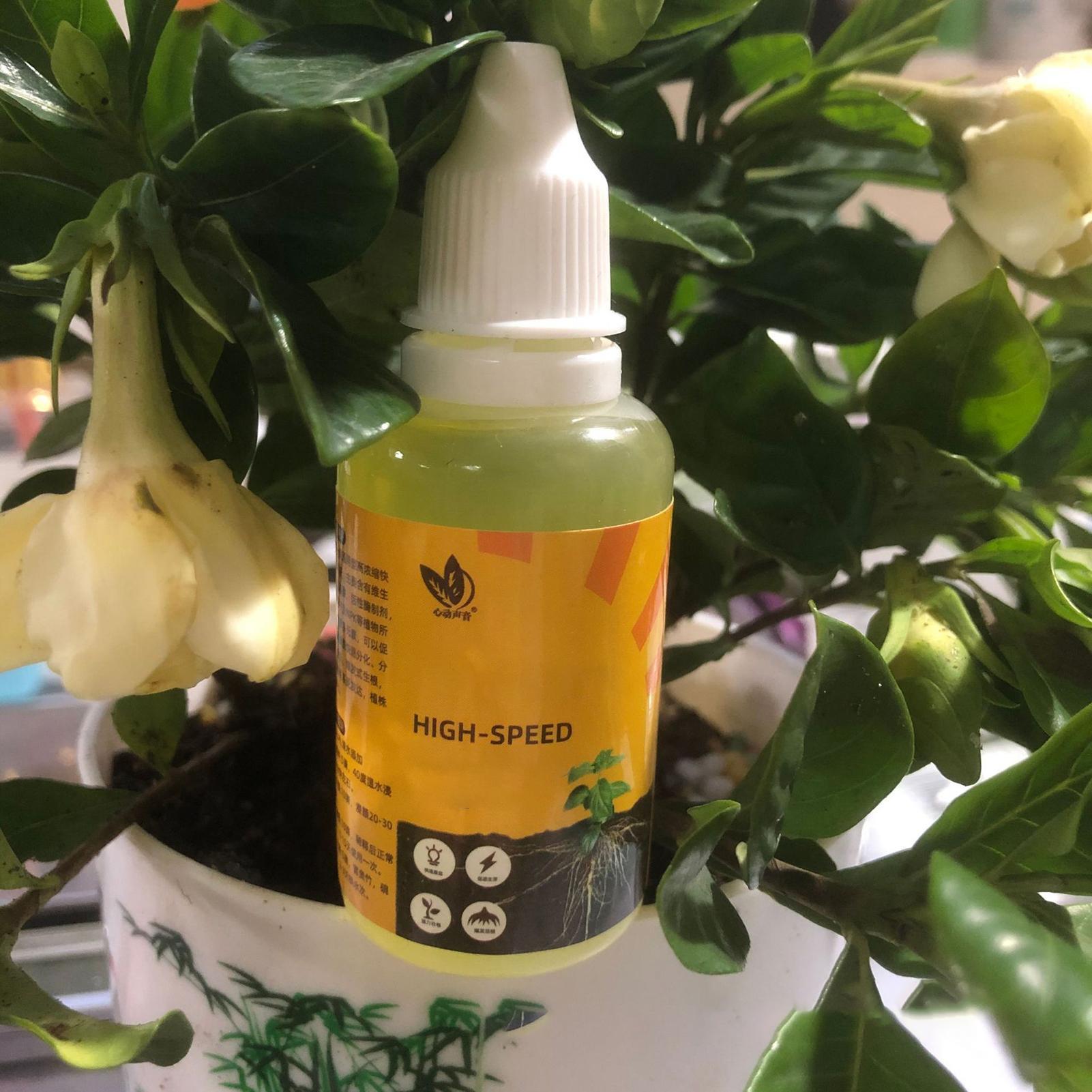 50Ml Stimulator Pengakaran Tan - Root Stimulator Liquid ulasan dan harga