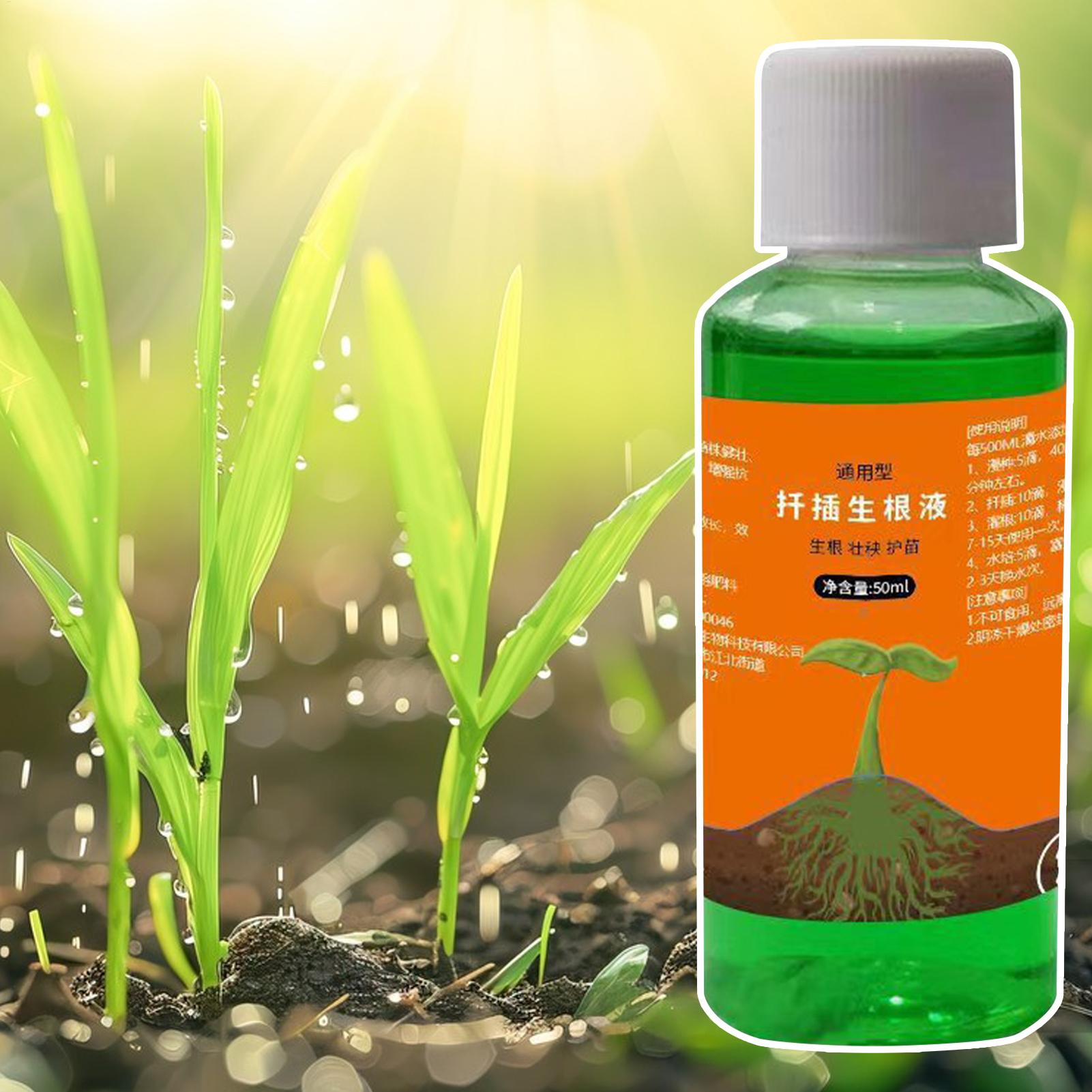 Stimulator Akar Efisiensi Ting - Root Stimulator Liquid ulasan dan harga
